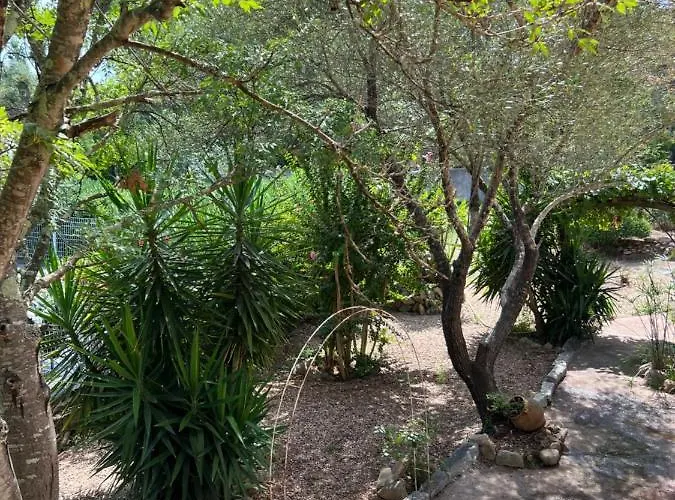 Casa Samasama *